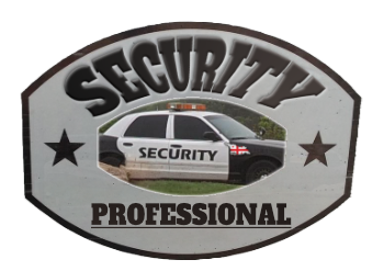 Security Professional Endorsement