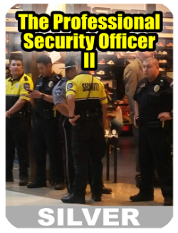 The Professional Security Officer II