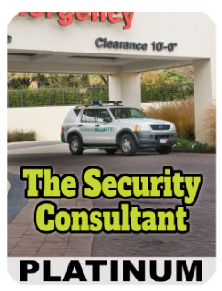 The Private Security Consultant