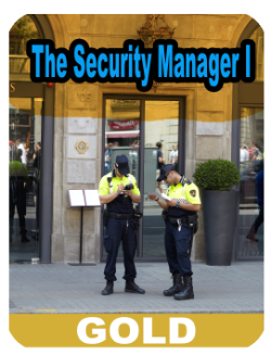 The Private Security Manager I